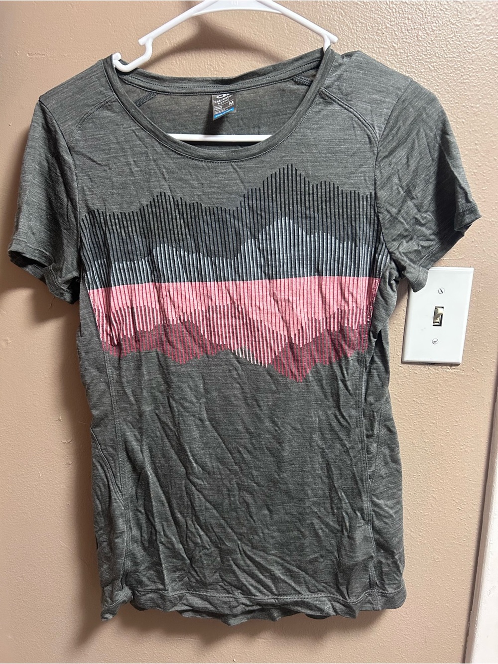 Women's Gray Short-Sleeve Graphic Tee with Pink Strip
